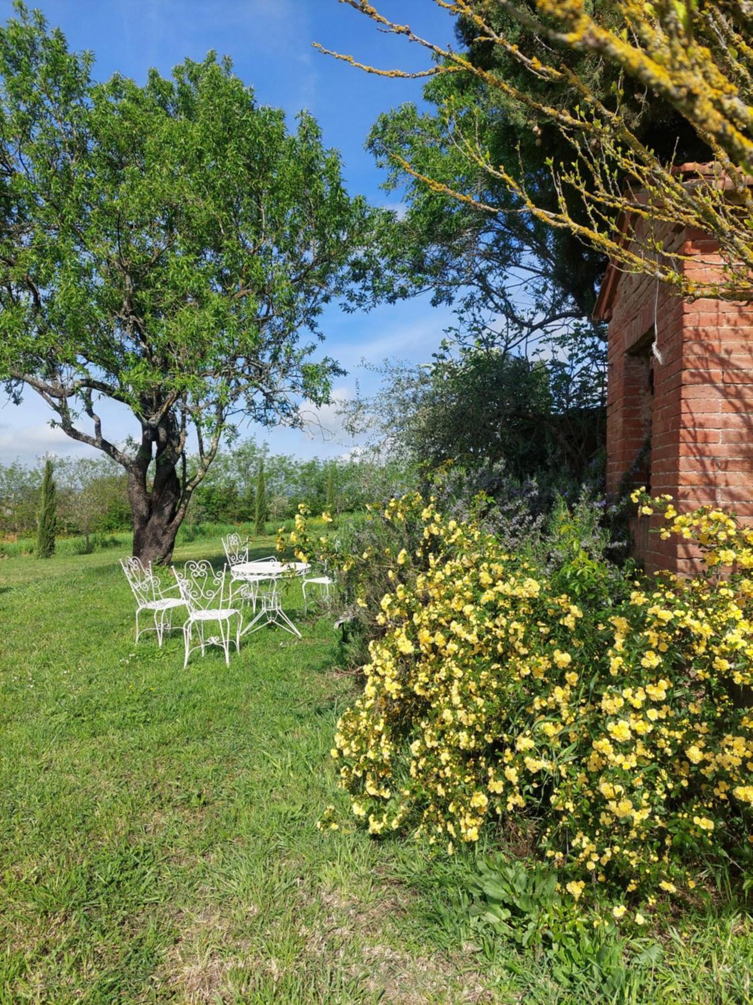 Casa Ezio Marchi - Due Appartamenti E Una Family Suite Bettolle Exterior foto