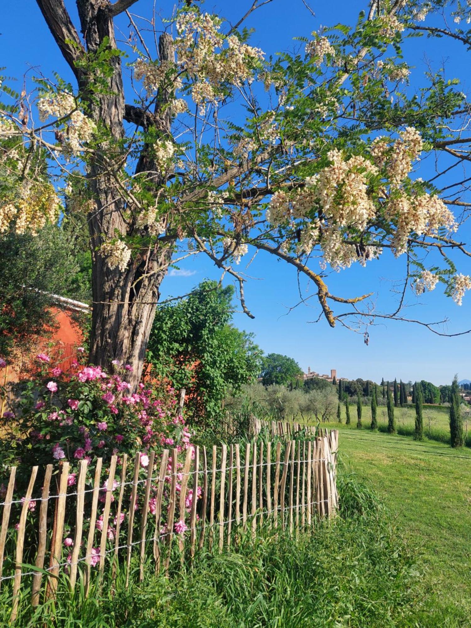 Casa Ezio Marchi - Due Appartamenti E Una Family Suite Bettolle Exterior foto
